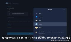 当tpWallet里的TRX消失时，你该如何应对？