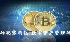 tpWallet的观察钱包：数字资产管理的隐形斗篷