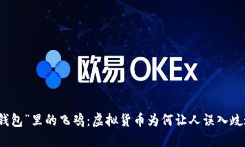 “钱包”里的飞鸡:虚拟货币为何让人误入歧途?