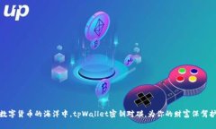 在数字货币的海洋中，tpWallet密钥对碰，为你的财